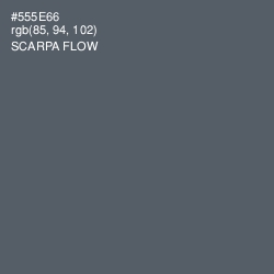 #555E66 - Scarpa Flow Color Image